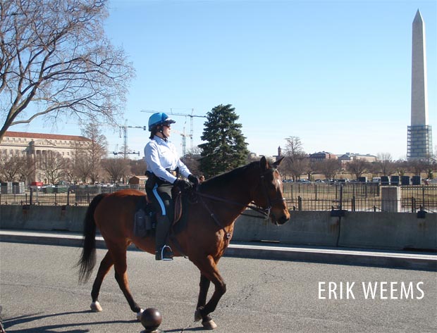 Mounted White House Police - Washington DC