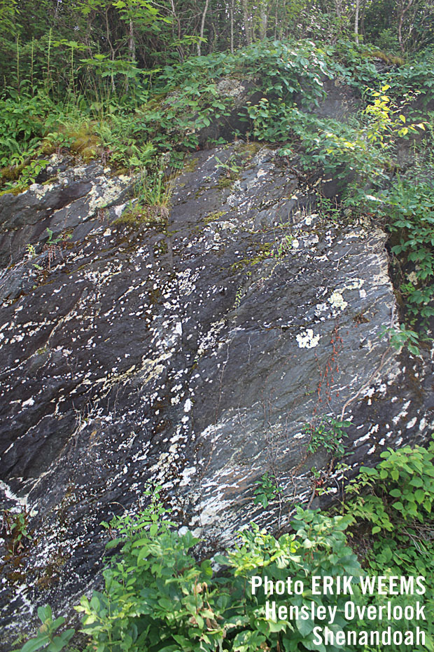 Slab of mountain rock at Shenandoah National Park VIrginia