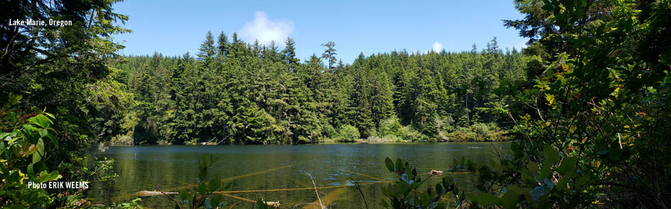Lake Marie Oregon Coast
