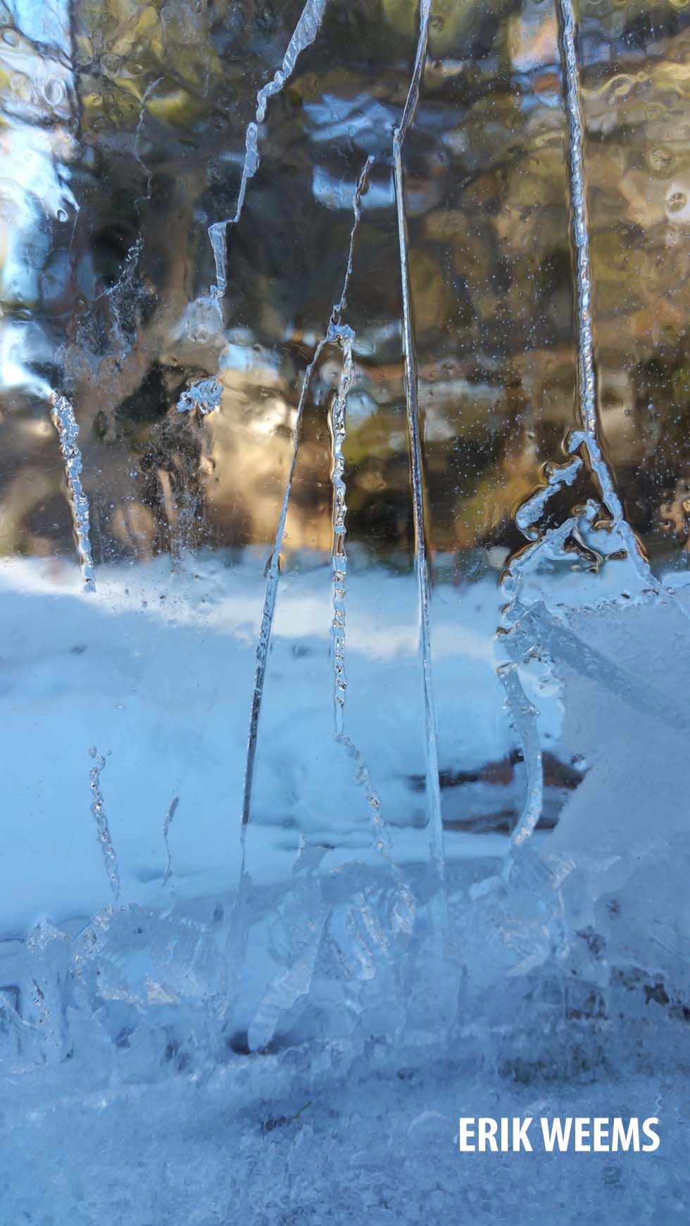 Ice Crystals January 2018 Virginia
