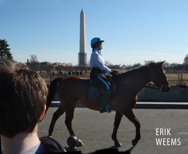 Mounted Horse Police White House Washington DC