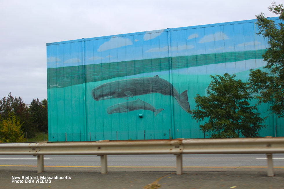 New Bedford Whales Massachusetts
