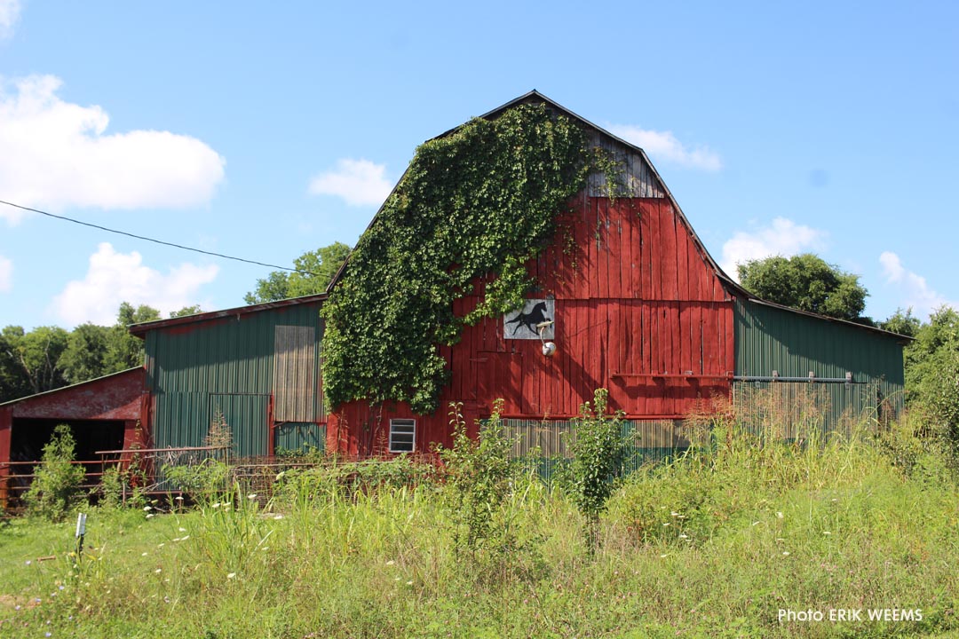 Alpha Tennessee Barn with horse emblem