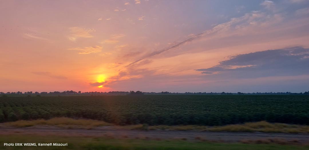 Kennett Missouri Fields Sunset