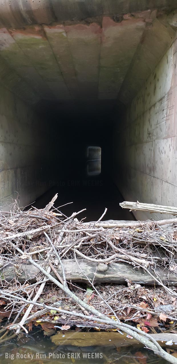 Tunnel of Concrete at Big Rocky Run