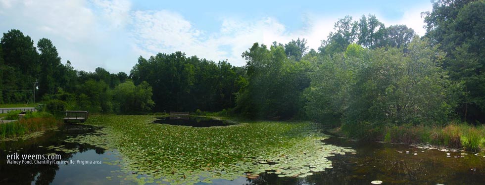 Walney Pond Chantilly Virginia