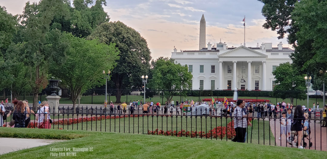 Crowds gathered at Lafayette Park