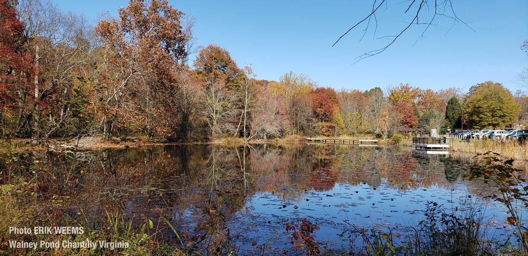 Autumn Walney Pond Chantilly Virginia