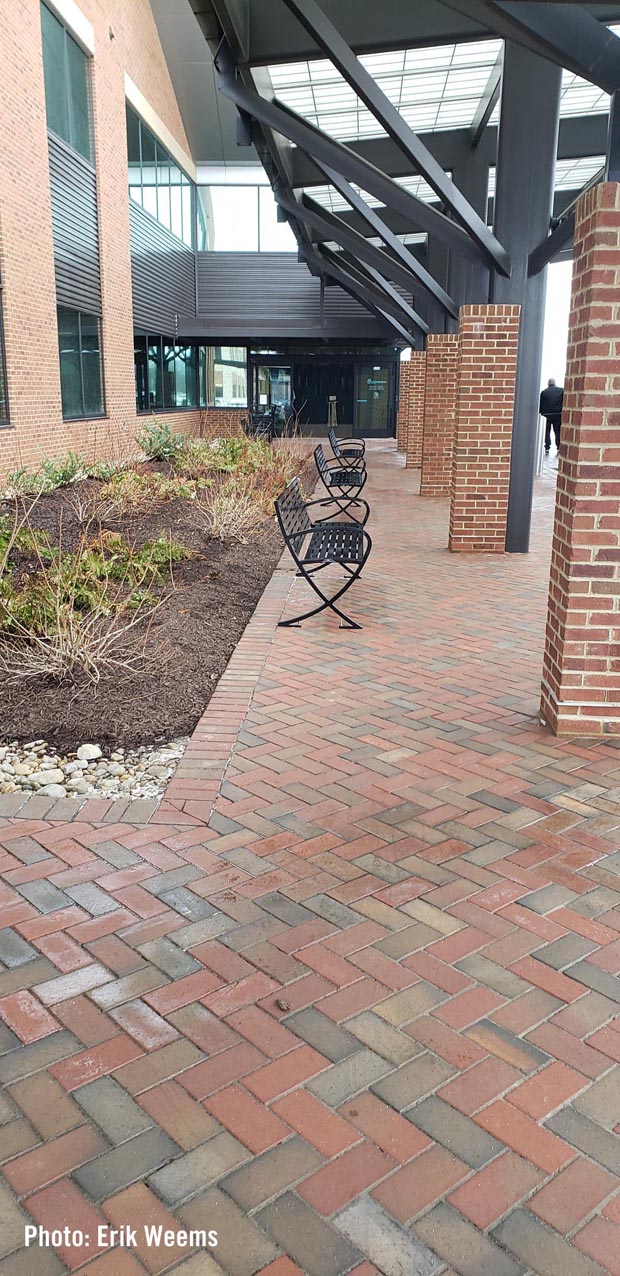 Walkway Ortho Virginia