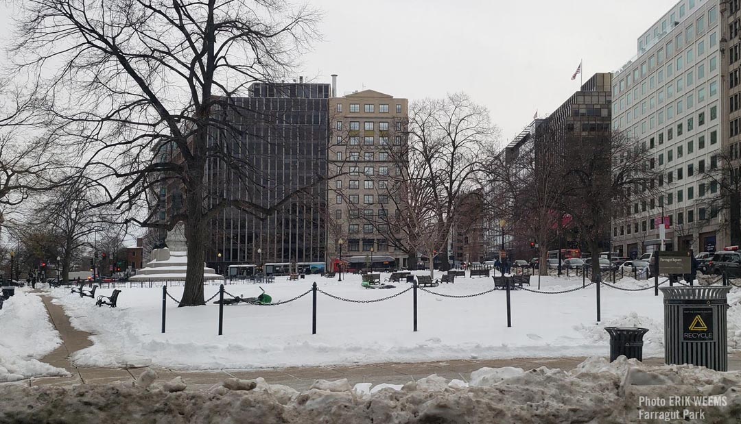 Snow at Farragut Park in DC
